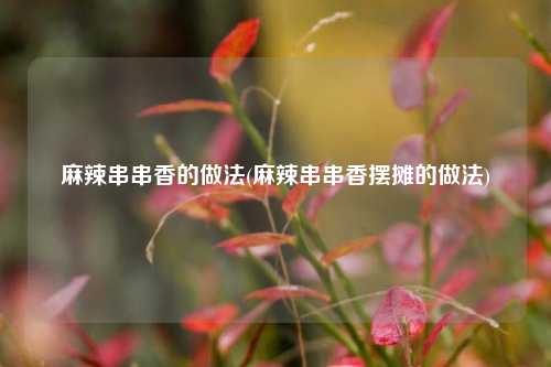 麻辣串串香的做法(麻辣串串香摆摊的做法)