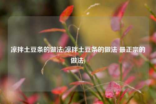 凉拌土豆条的做法(凉拌土豆条的做法 最正宗的做法)