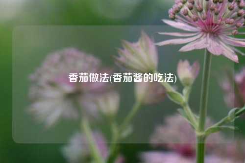 香茄做法(香茄酱的吃法)