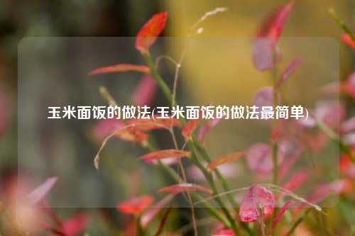 玉米面饭的做法(玉米面饭的做法最简单)