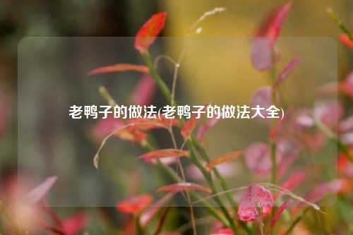 老鸭子的做法(老鸭子的做法大全)