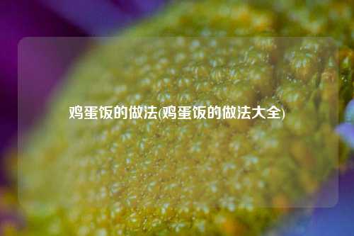 鸡蛋饭的做法(鸡蛋饭的做法大全)