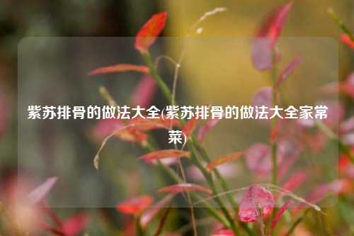 紫苏排骨的做法大全(紫苏排骨的做法大全家常菜)