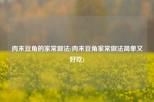 肉末豆角的家常做法(肉末豆角家常做法简单又好吃)