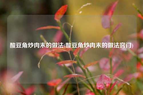 酸豆角炒肉末的做法(酸豆角炒肉末的做法窍门)