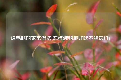 炖鸭腿的家常做法(怎样炖鸭腿好吃不腥窍门)