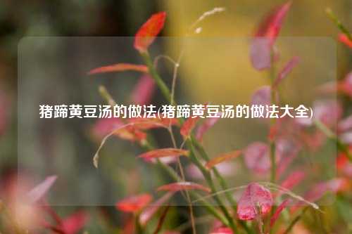 猪蹄黄豆汤的做法(猪蹄黄豆汤的做法大全)