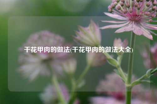 干花甲肉的做法(干花甲肉的做法大全)